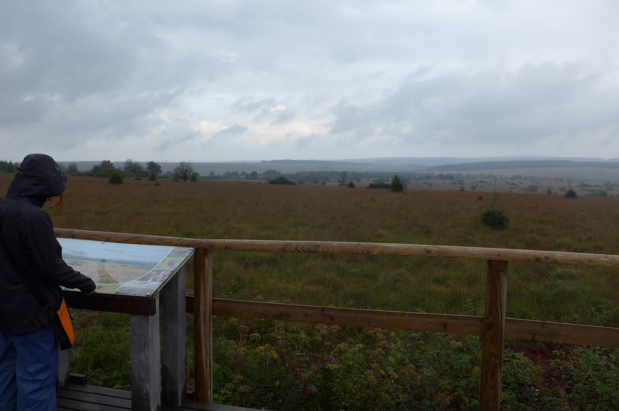 Hautes Fagnes rašeliniště